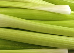 200 Calories of Celery